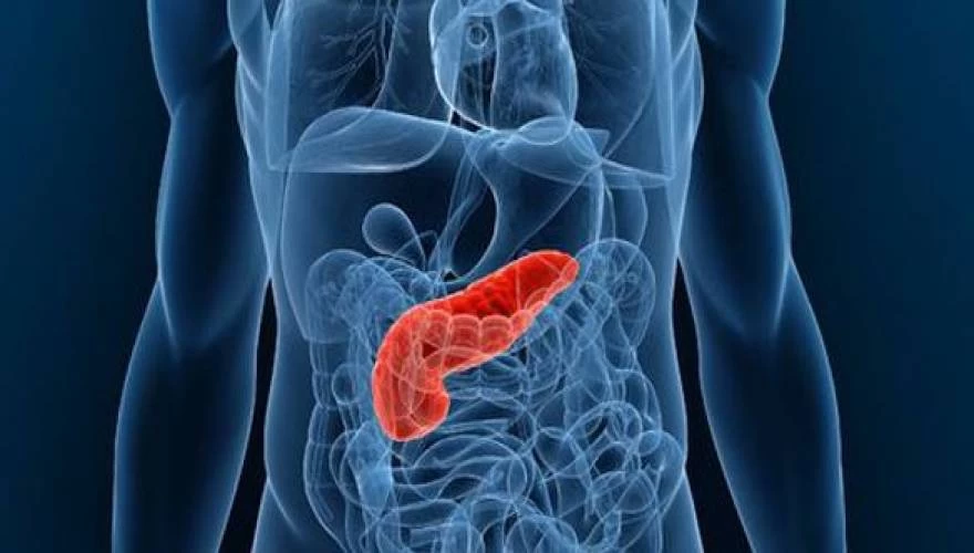 Πάγκρεας: Με ποιες τροφές μπορείτε να κάνετε αποτοξίνωση